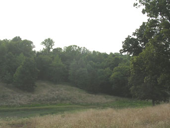 Hills and woods